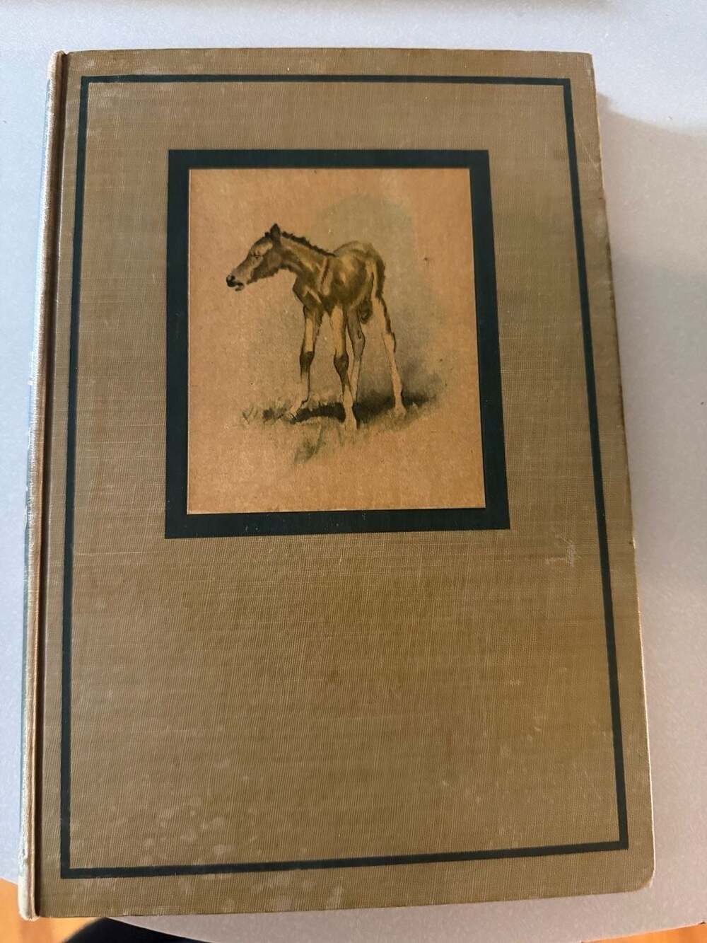 The Red Pony by John Steinbeck, 1945 Illustrated Edition